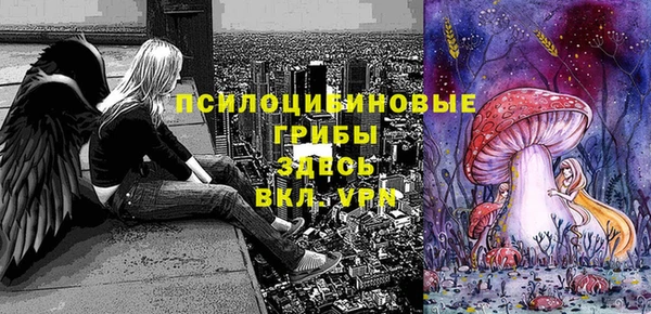 тгк Алексин