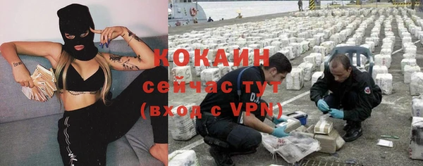 тгк Алексин