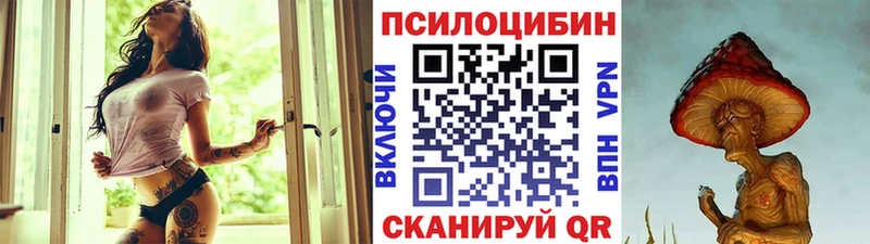 Псилоцибиновые грибы мицелий shop телеграм Алзамай